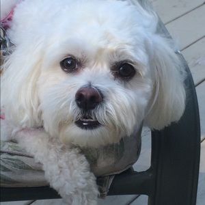 Meet your Posher, Donna